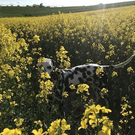 Onsstrandhuis, 'tuinenzee' Prázdninový dům